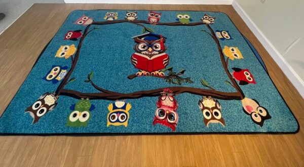 Reading is a Hoot Owl Rug